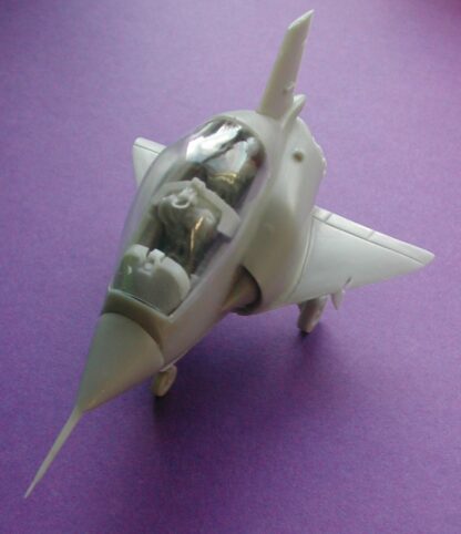 Mirage III/5 Two-seater Egg Plane - Image 4