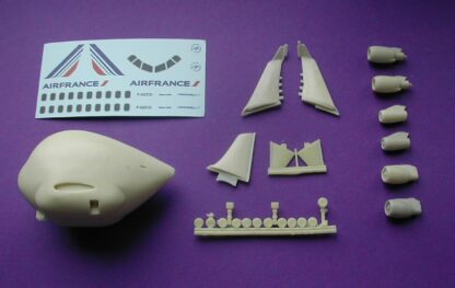 Airbus A330 Egg Plane - Image 2